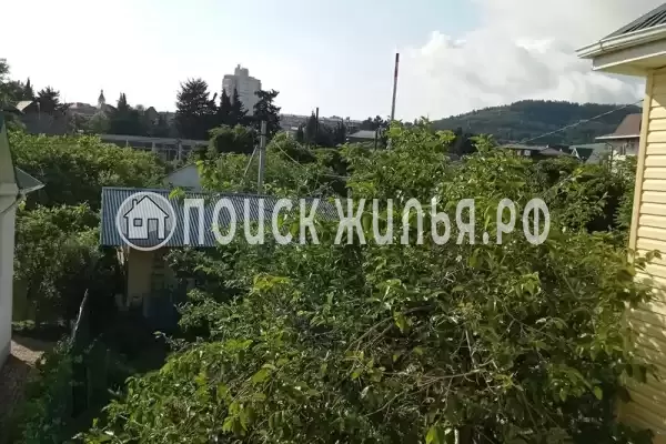 «Любушка», Лазаревское