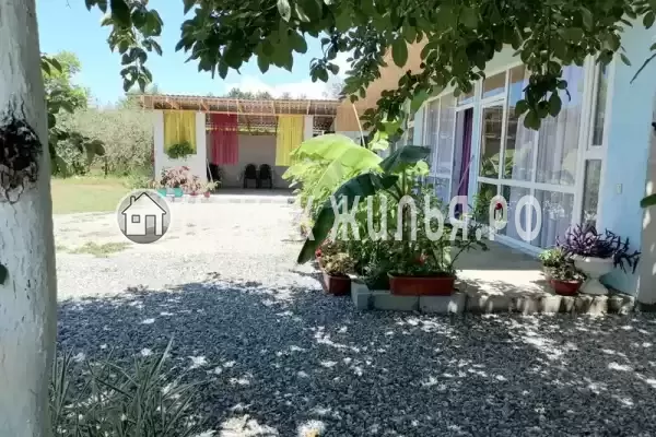 Гостевой дом «De Sofía», Пицунда