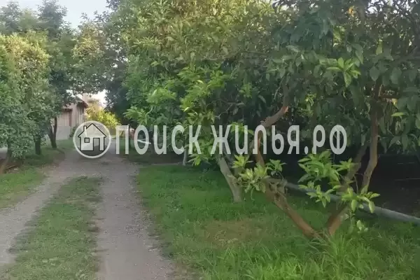 Гостевой дом «De Sofía», Пицунда