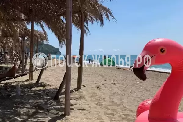 Гостевой дом «Пегас», Пицунда