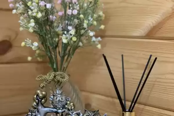 Частный сектор «Коттедж Sanel» Частный сектор «Коттедж Sanel»
