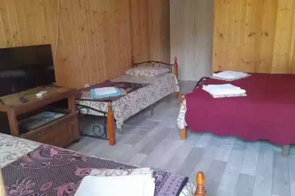 Гостевой дом «Сария» Гостевой дом «Сария»