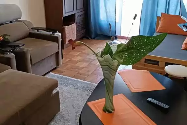 Квартира «В самом центре сухума» Квартира «В самом центре сухума»