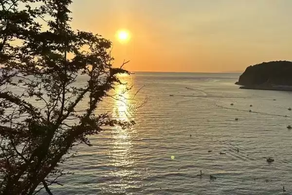 Квартира «С видом на море» Квартира «С видом на море»