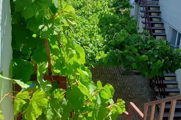 Гостевой дом «На тельмана» Гостевой дом «На тельмана»