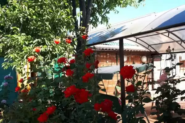 Частный сектор «Дом под ключ У Татьяны» Частный сектор «Дом под ключ У Татьяны»