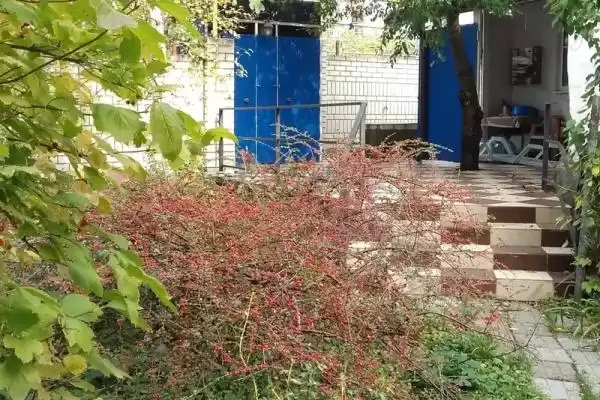 Гостевой дом «Тихая гавань» Гостевой дом «Тихая гавань»