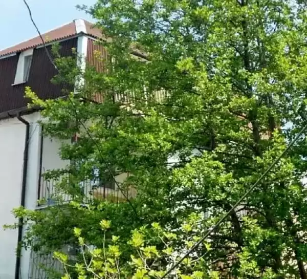 Гостевой дом «Hot-alushta» Гостевой дом «Hot-alushta»