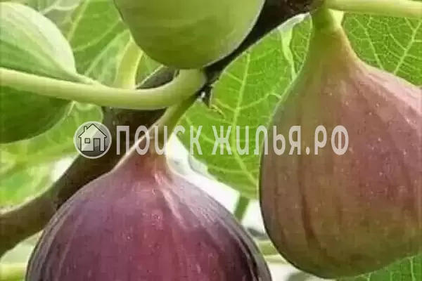 «На Тупиковой» «На Тупиковой»