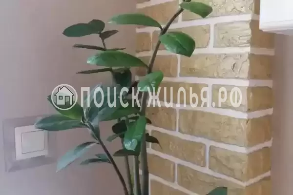 Частный сектор «Апартаменты Арт Лайт Сити»