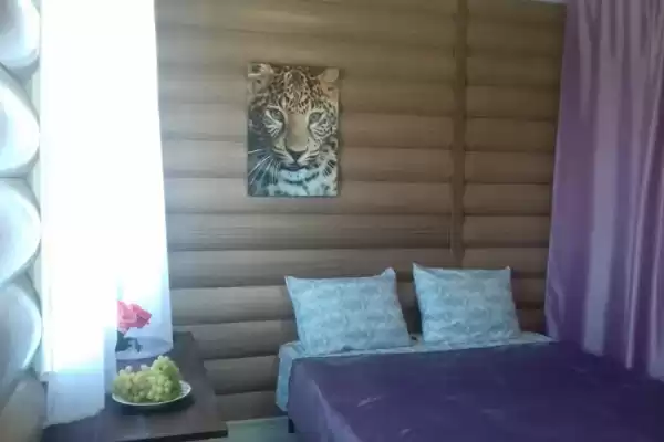 Частный сектор «Комплекс домиков Jungle Park» Частный сектор «Комплекс домиков Jungle Park»