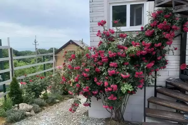 Частный сектор «Дом Villa de rose» Частный сектор «Дом Villa de rose»