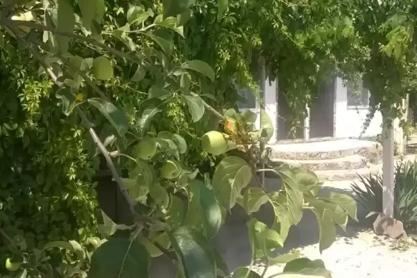 Частный сектор, ул.Лучистая, д.15 Частный сектор, ул.Лучистая, д.15