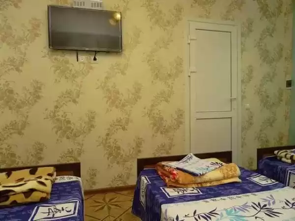 Гостевой дом «Светлана» Гостевой дом «Светлана»