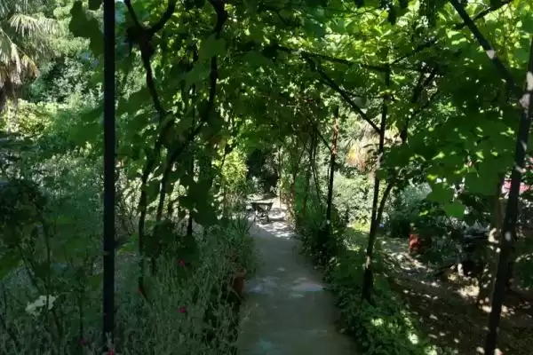 Гостиница «Все свои» Гостиница «Все свои»