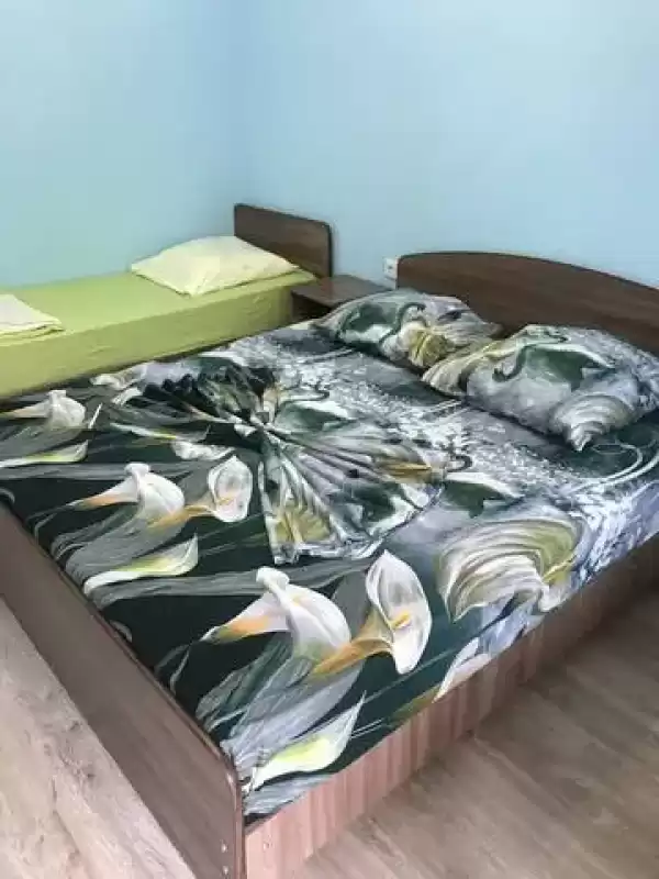 Гостевой дом «Sarkar house» Гостевой дом «Sarkar house»
