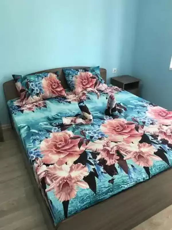 Гостевой дом «Sarkar house» Гостевой дом «Sarkar house»