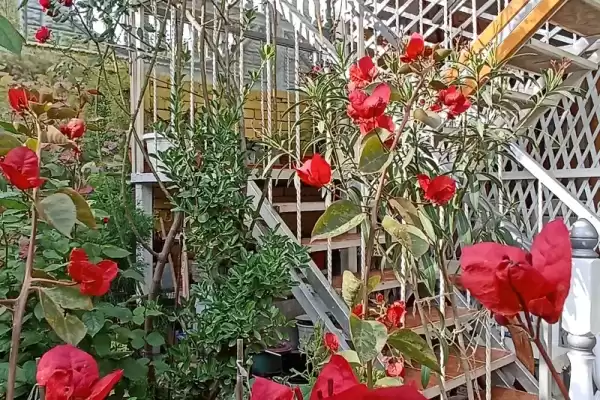 Гостевой дом, ул.Зерновская, д.13 Гостевой дом, ул.Зерновская, д.13