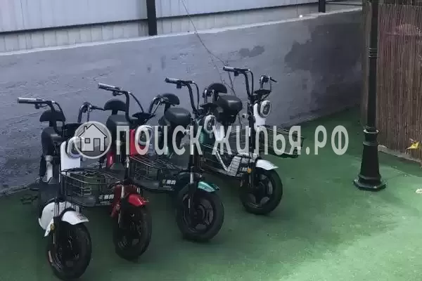 «NeNaSevere» «NeNaSevere»