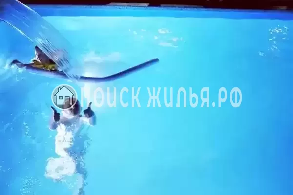 «NeNaSevere» «NeNaSevere»