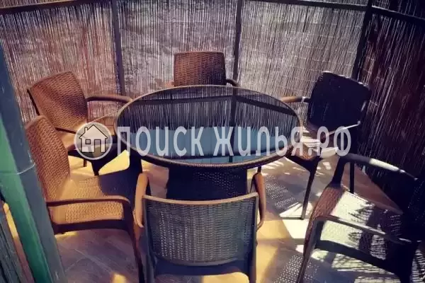 «NeNaSevere» «NeNaSevere»