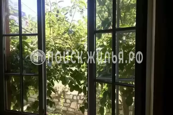 «NeNaSevere» «NeNaSevere»