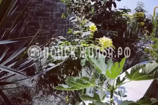 «NeNaSevere» «NeNaSevere»