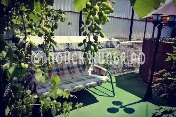 «NeNaSevere» «NeNaSevere»