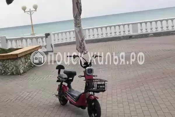 «NeNaSevere» «NeNaSevere»