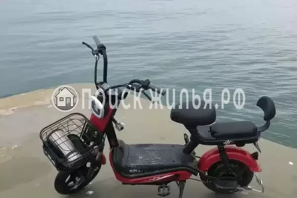 «NeNaSevere» «NeNaSevere»