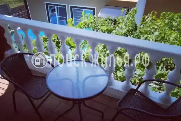 «NeNaSevere» «NeNaSevere»