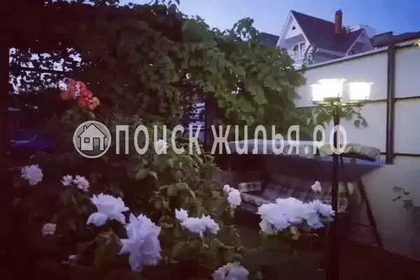 «NeNaSevere» «NeNaSevere»