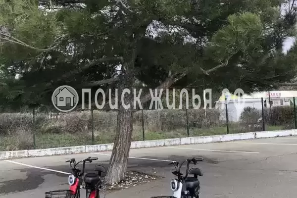 «NeNaSevere» «NeNaSevere»