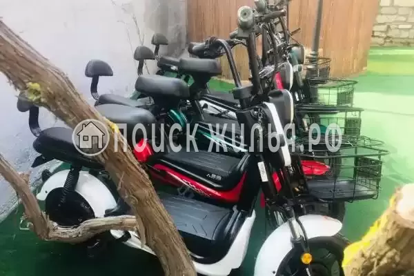 «NeNaSevere» «NeNaSevere»