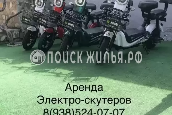 «NeNaSevere» «NeNaSevere»