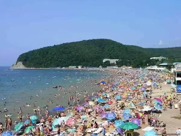 Частный сектор «Апартаменты с видом на море» Частный сектор «Апартаменты с видом на море»