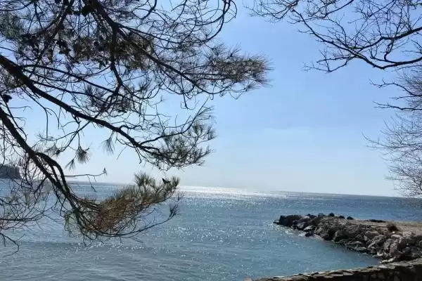 Частный сектор «Домик на море» Частный сектор «Домик на море»