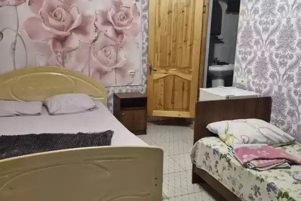 Гостевой дом «Две пальмы» Гостевой дом «Две пальмы»