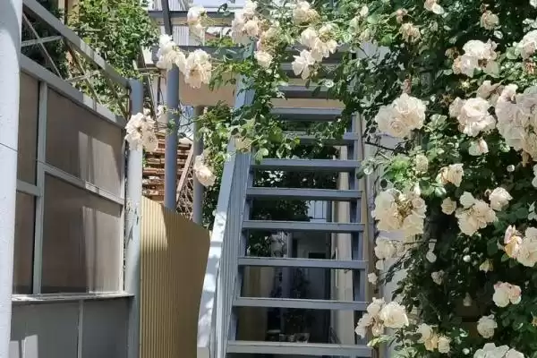 Частный сектор «Этаж под ключ на 6 человек» Частный сектор «Этаж под ключ на 6 человек»