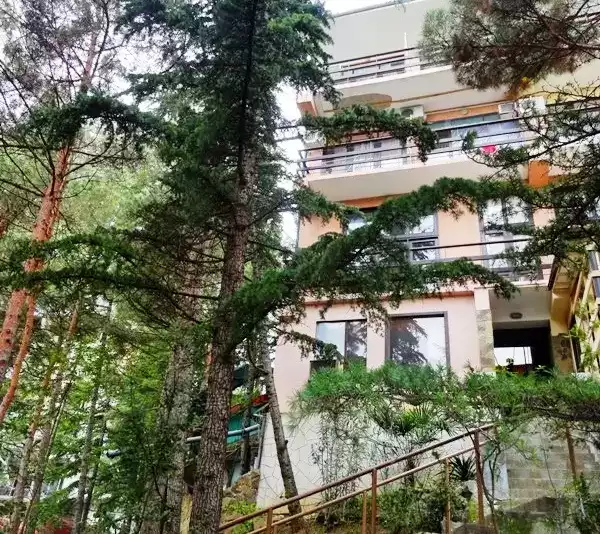База отдыха «Мечта» База отдыха «Мечта»
