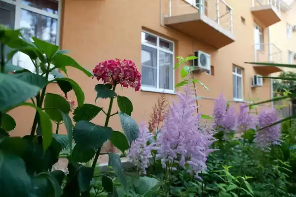 Гостевой дом «Мали» Гостевой дом «Мали»