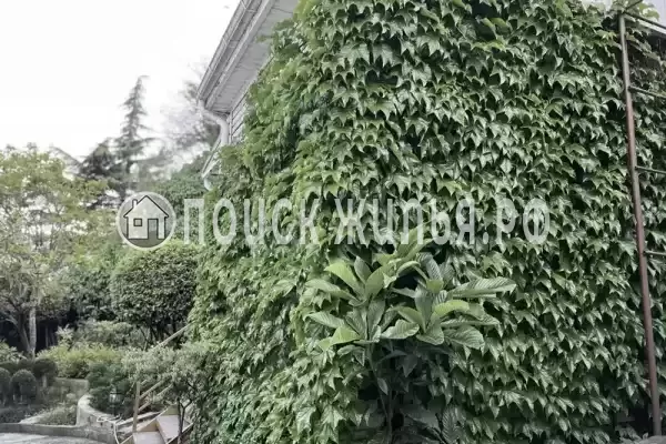 «Агеевъ»