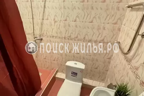 Отель «Бухара» Отель «Бухара»