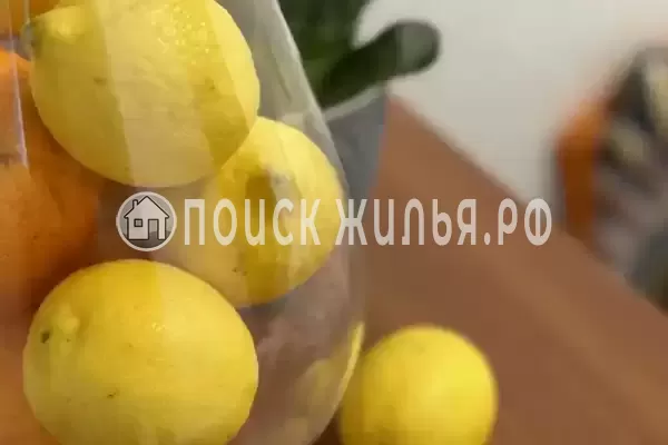 Отель «Бухара» Отель «Бухара»