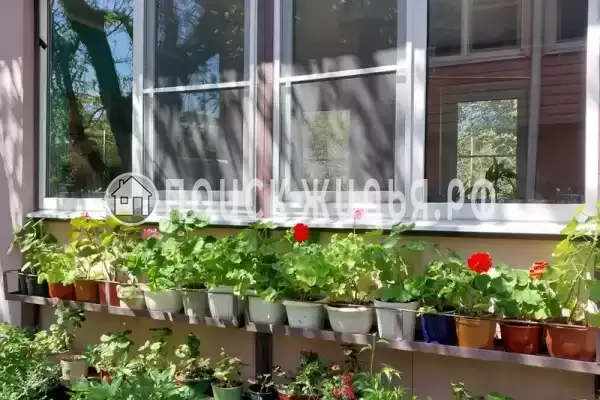 Частный сектор «Отдых для друзей» Частный сектор «Отдых для друзей»