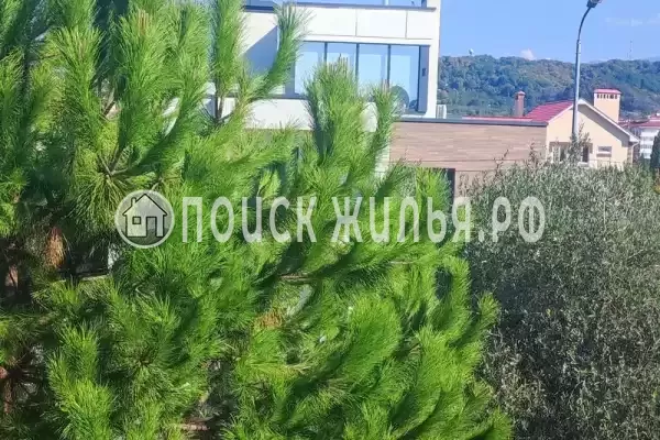 Гостевой дом «Диана» Гостевой дом «Диана»