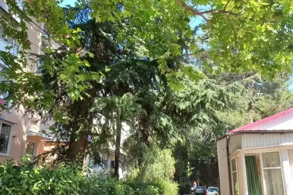 Квартира, ул.Солнечная, д.2 Квартира, ул.Солнечная, д.2