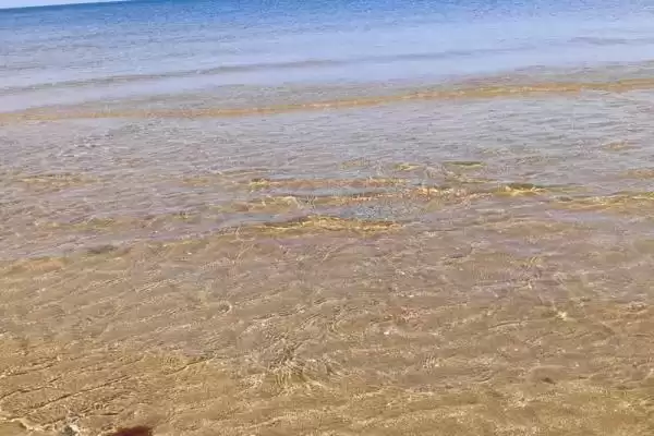 Частный сектор «Дом под ключ Дача у моря» Частный сектор «Дом под ключ Дача у моря»