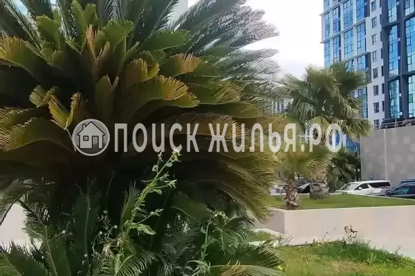 Квартира «В ЖК Сочи парк» Квартира «В ЖК Сочи парк»
