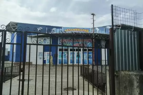 Гостевой дом «Анита» Гостевой дом «Анита»